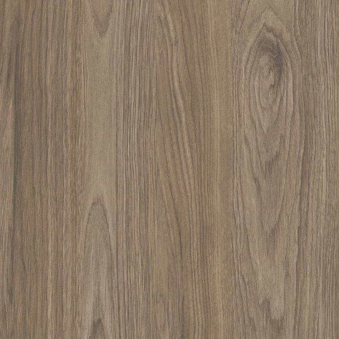 Дуб Муромский какао